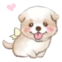puppy