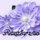 Andrea