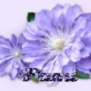 Pami
