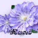 Roni