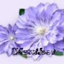 Heather
