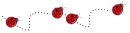 ladybug divider