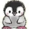 cute baby penguin