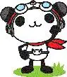 cute panda piolt