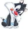 cute sylvester