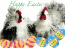 wielkanoc - easter
