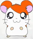 hamster