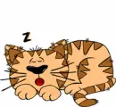 sleeping kitty