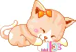 cute kitty