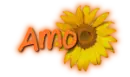 amo