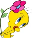 Â» Cute Stuff Â» kawaii face