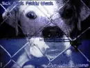GiveAdogAhome