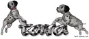 Dalmations Tara
