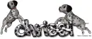 Dalmations Chrissi