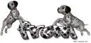 Dalmations Fran