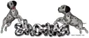 Dalmations Shonna
