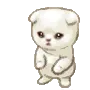 KAWAII CRITTER