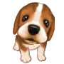 KAWAII CRITTER