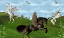 PEGASUS PARADISE