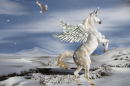 SNOW PEGASUS