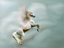 PEGASUS  IN CLOUDS