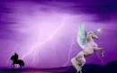 PEGASUS IN LIGHTENING STORM