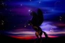 THE DARK NIGHT PEGASUS
