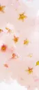 CHERRY BLOSSOM