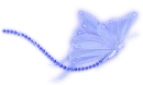 blue butterfly