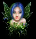 fairy