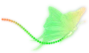 green butterfly