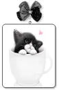 LOVELY KITTY
