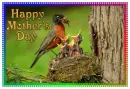 Happy Mother's Day