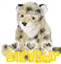 Cheetah - Skyler