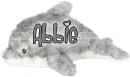 Dolphin - Abbie