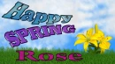 Rose