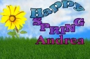 Andrea