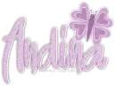 andina w/butterfly