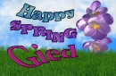 Gied