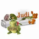 Judi