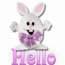 Hello