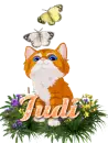 cute kitten butterfly spring Judi