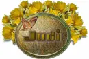 Judi