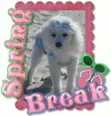 spring break