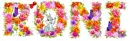 pretty spring flowers butterfly bird bunny Roni