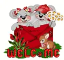 welcome