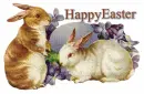 Happy Easter