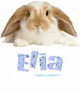 Elia