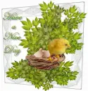 Have a nice day