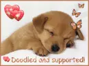 Support